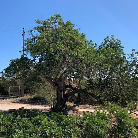 Seaview With Private Pool & Gardens Near Benagil *